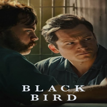 پرنده سياه Black Bird
